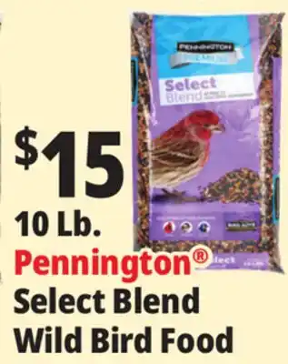 Ocean State Job Lot Pennington Premium Select Blend Bird Seed 10 lb offer