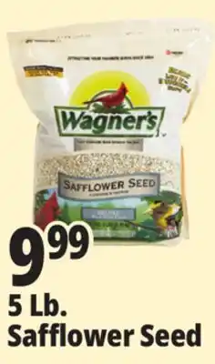Ocean State Job Lot Wagner's Safflower Seed Deluxe Wild Bird Food offer