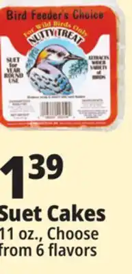 Ocean State Job Lot Bird Feeder's Choice High Energy Suet 11 oz offer