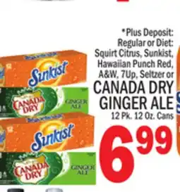 C Town CANADA DRY GINGER ALE offer