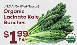 DeCicco & Sons Organic Lacinato Kale Bunches offer