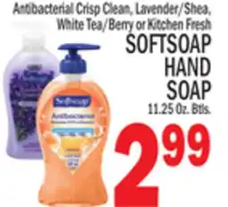 C Town SOFTSOAP HAND SOAP offer