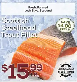 DeCicco & Sons Scottish Steelhead Trout Fillet offer