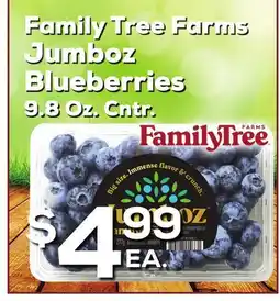 DeCicco & Sons Family Tree Farms Jumboz Blueberries offer