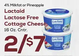 DeCicco & Sons Lactaid Lactose Free Cottage Cheese offer