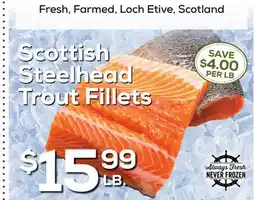 DeCicco & Sons Scottish Steelhead Trout Fillets offer