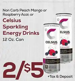 DeCicco & Sons Celsius Sparkling Energy Drinks offer
