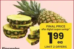 ACME Pineapples offer