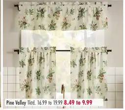 Boscov's Pine Valley offer