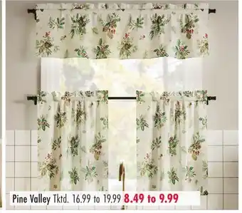 Boscov's Pine Valley offer