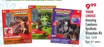 Boscov's Amazing Creatures Synthetic Dissection Kit offer
