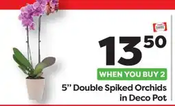 Weis Markets 5 Double Spiked Orchids Deco Pot offer