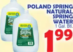 Bravo Supermarkets POLAND SPRING NATURAL SPRING WATER offer