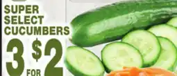 Bravo Supermarkets SUPER SELECT CUCUMBERS offer