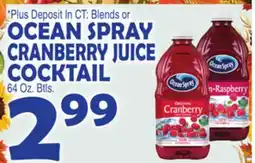 Bravo Supermarkets OCEAN SPRAY CRANBERRY JUICE COCKTAIL offer