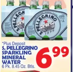 Bravo Supermarkets S. PELLEGRINO SPARKLING MINERAL WATER offer