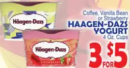 Bravo Supermarkets HAAGEN-DAZS YOGURT offer