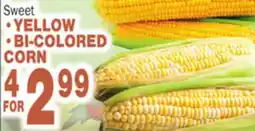 Bravo Supermarkets •YELLOW •BI-COLORED CORN offer