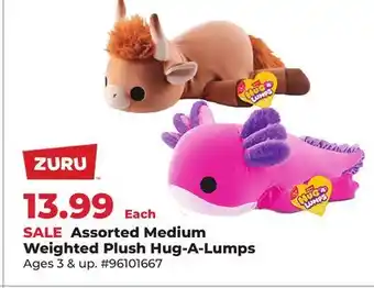 Runnings Assorted Medium Weighted Plush Hug-A-Lumps offer