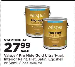 Fleet Farm Valspar Pro Hide Gold Ultra 1 - gal. Interior Paint offer