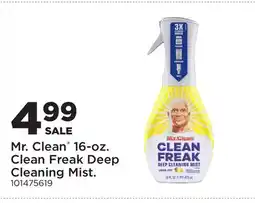 Fleet Farm Mr. Clean 16-oz. Clean Freak Deep Cleaning Mist offer