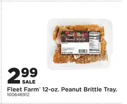 Fleet Farm Fleet Farm 12-oz. Peanut Brittle Tray offer