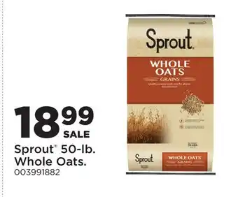 Fleet Farm Sprout 50-lb. Whole Oats offer