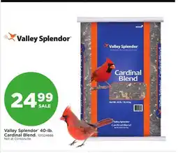 Fleet Farm Valley Splendor 40-lb. Cardinal Blend offer
