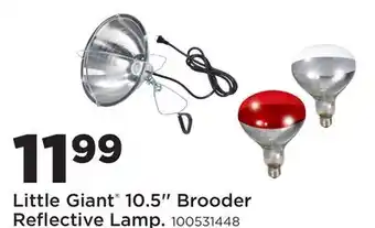 Fleet Farm Little Giant 10.5'' Brooder Reflective Lamp offer