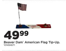 Fleet Farm Beaver Dam American Flag Tip-Up offer