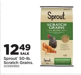 Fleet Farm Sprout 50-lb. Scratch Grains offer