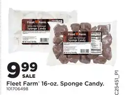 Fleet Farm Fleet Farm 16-oz. Sponge Candy offer