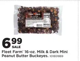 Fleet Farm Fleet Farm 16-oz. Milk & Dark Mini Peanut Butter Buckeyes offer
