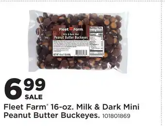 Fleet Farm Fleet Farm 16-oz. Milk & Dark Mini Peanut Butter Buckeyes offer