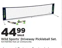 Fleet Farm Wild Sports Driveway Pickleball Set offer