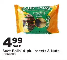 Fleet Farm Suet Balls 4-pk. Insects & Nuts offer