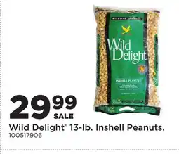 Fleet Farm Wild Delight 13-lb. Inshell Peanuts offer