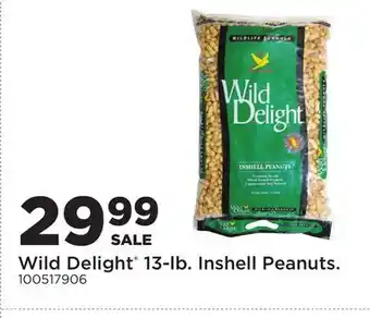 Fleet Farm Wild Delight 13-lb. Inshell Peanuts offer
