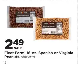 Fleet Farm Fleet Farm 16-oz. Spanish or Virginia Peanuts offer