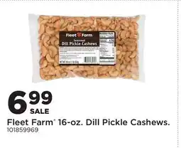 Fleet Farm Fleet Farm 16-oz. Dill Pickle Cashews offer