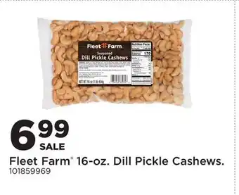 Fleet Farm Fleet Farm 16-oz. Dill Pickle Cashews offer