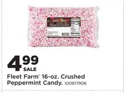 Fleet Farm Fleet Farm 16-oz. Crushed Peppermint Candy offer