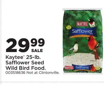 Fleet Farm Kaytee 25-lb. Safflower Seed Wild Bird Food offer