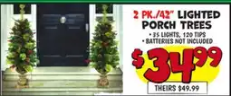 Ollie's 2 pk./42 Lighted Porch Trees offer