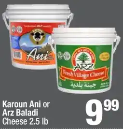 Super King Markets Karoun Ani or Arz Baladi cheese offer