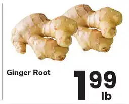 ACME Ginger Root offer