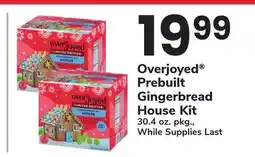 ACME Overjoyed Prebuilt Gingerbread House Kit offer