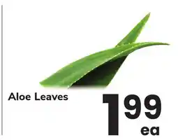 ACME Aloe Leaves offer