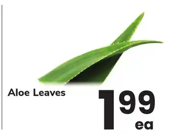 ACME Aloe Leaves offer