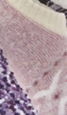 Big 5 Fireside Women's Cozy Crew Snowflake Socks offer